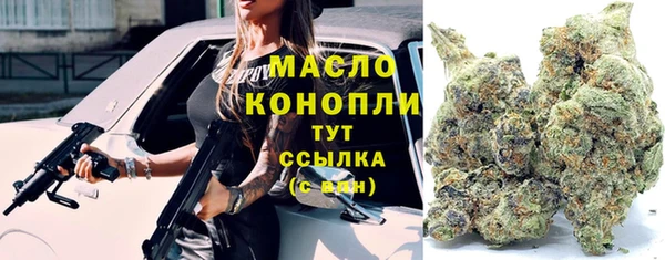 PSILOCYBIN Волосово