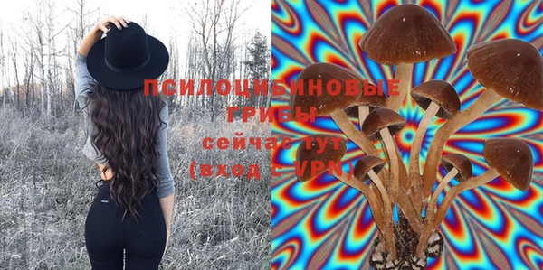 твердый Володарск