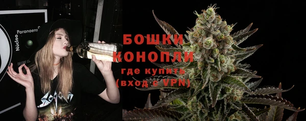 PSILOCYBIN Волосово