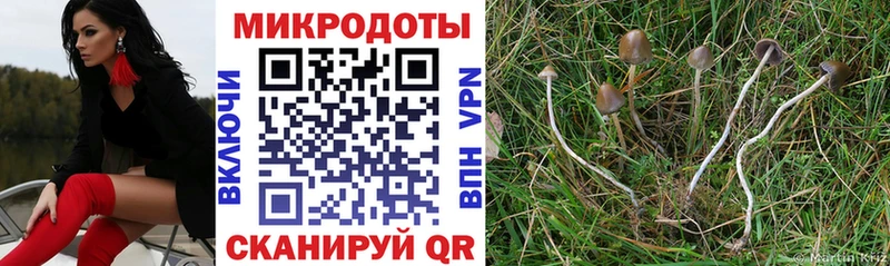 Галлюциногенные грибы мухоморы  Заринск 